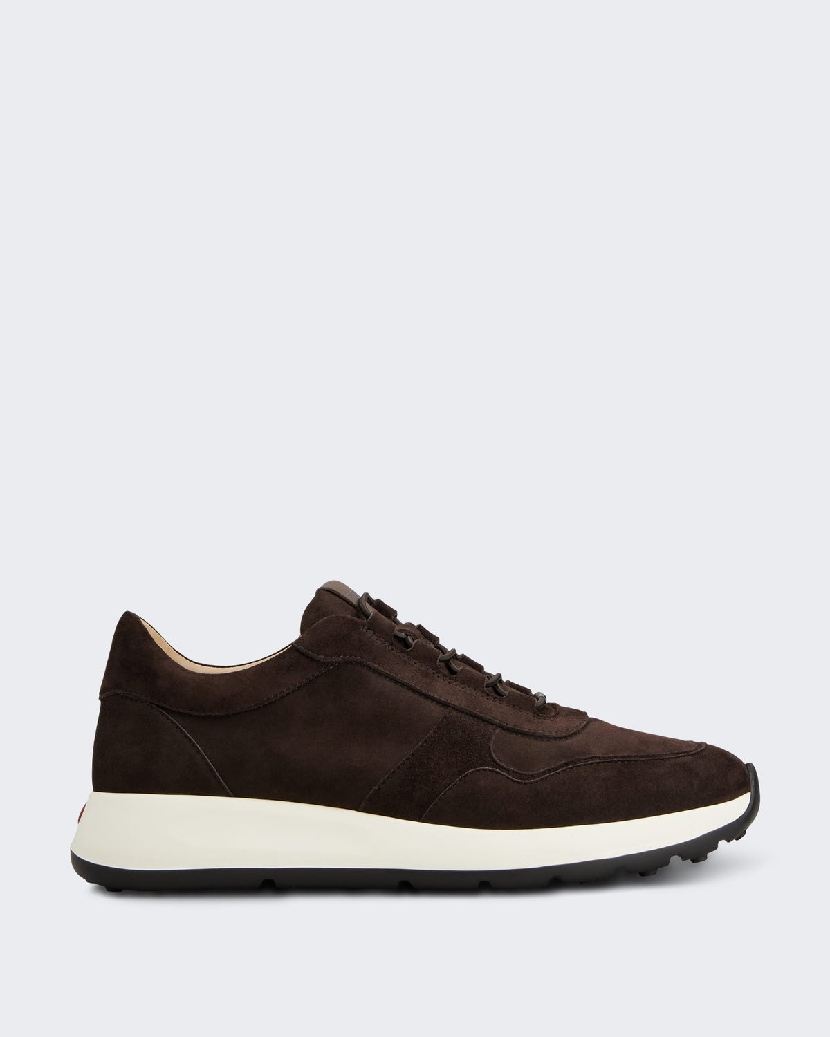 Men's Xxm79k0ip51u7z-0zq7-Sneaker Brown