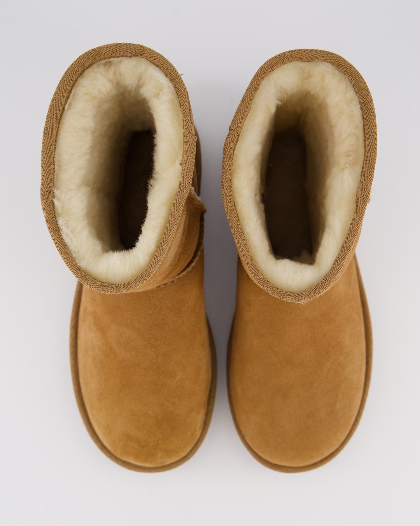 Women Classic Short II Chestnut