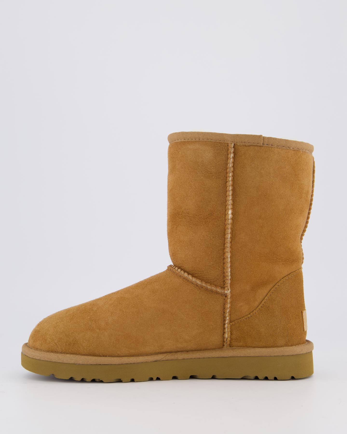 Women Classic Short II Chestnut