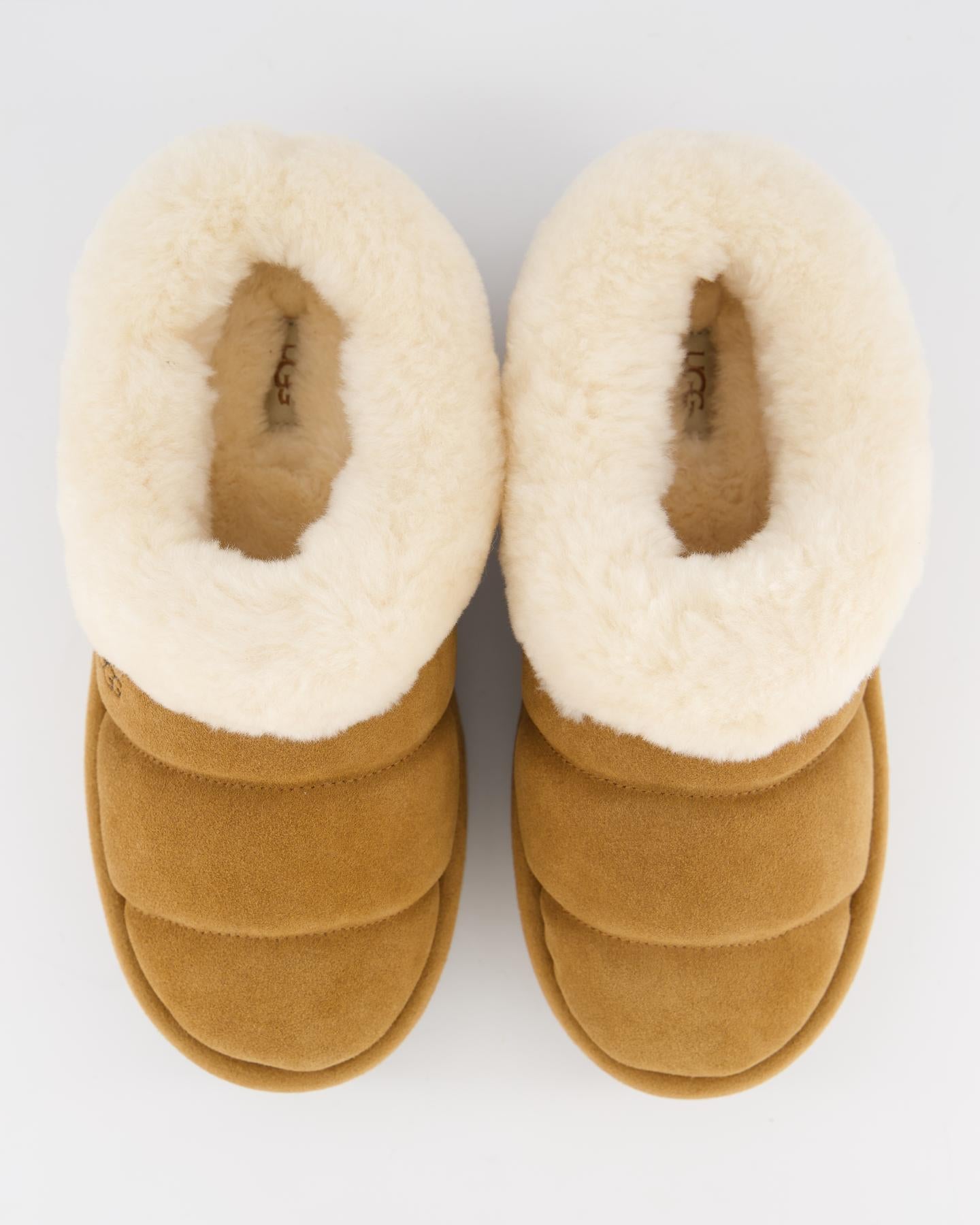 Dames Tazzlita Chestnut