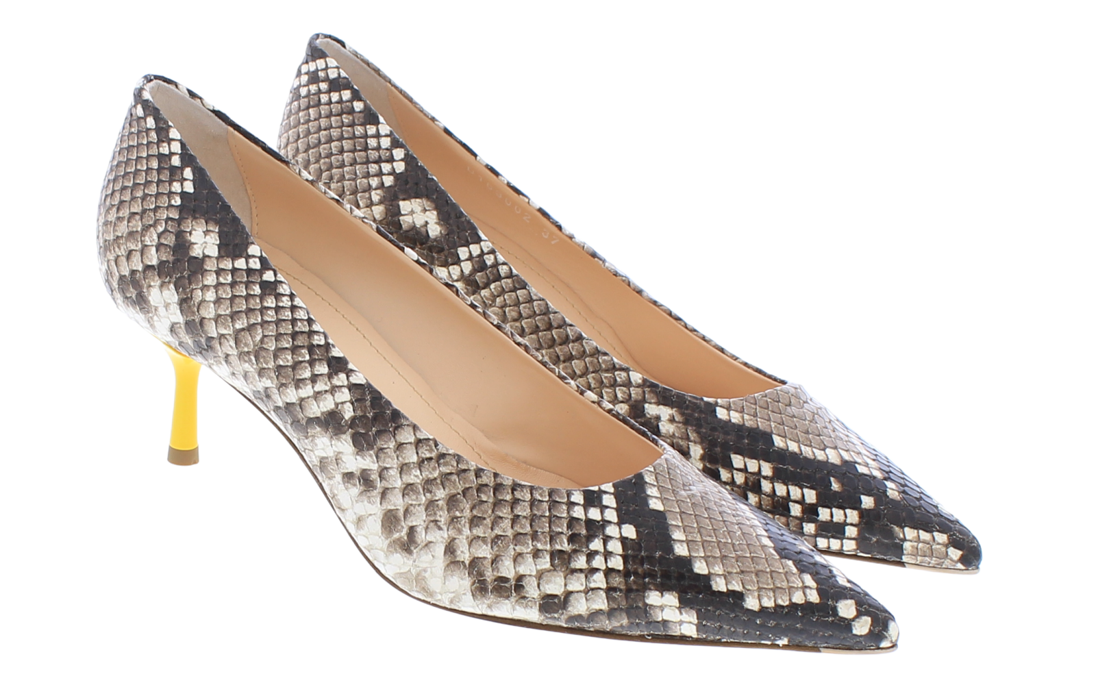 Women Python Bicolor