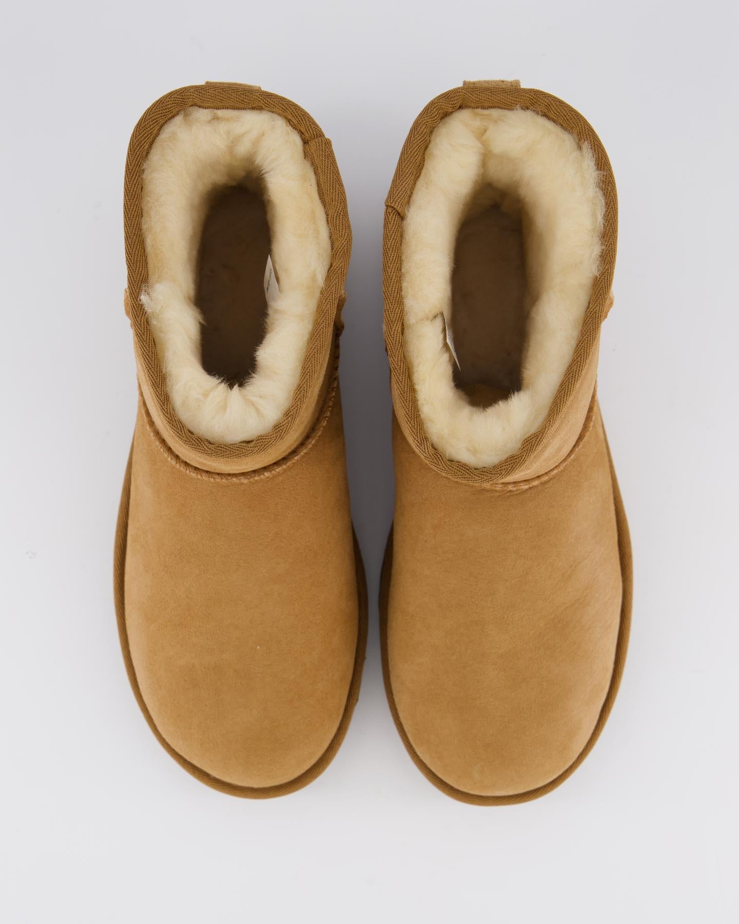 Women Classic Mini II Chestnut