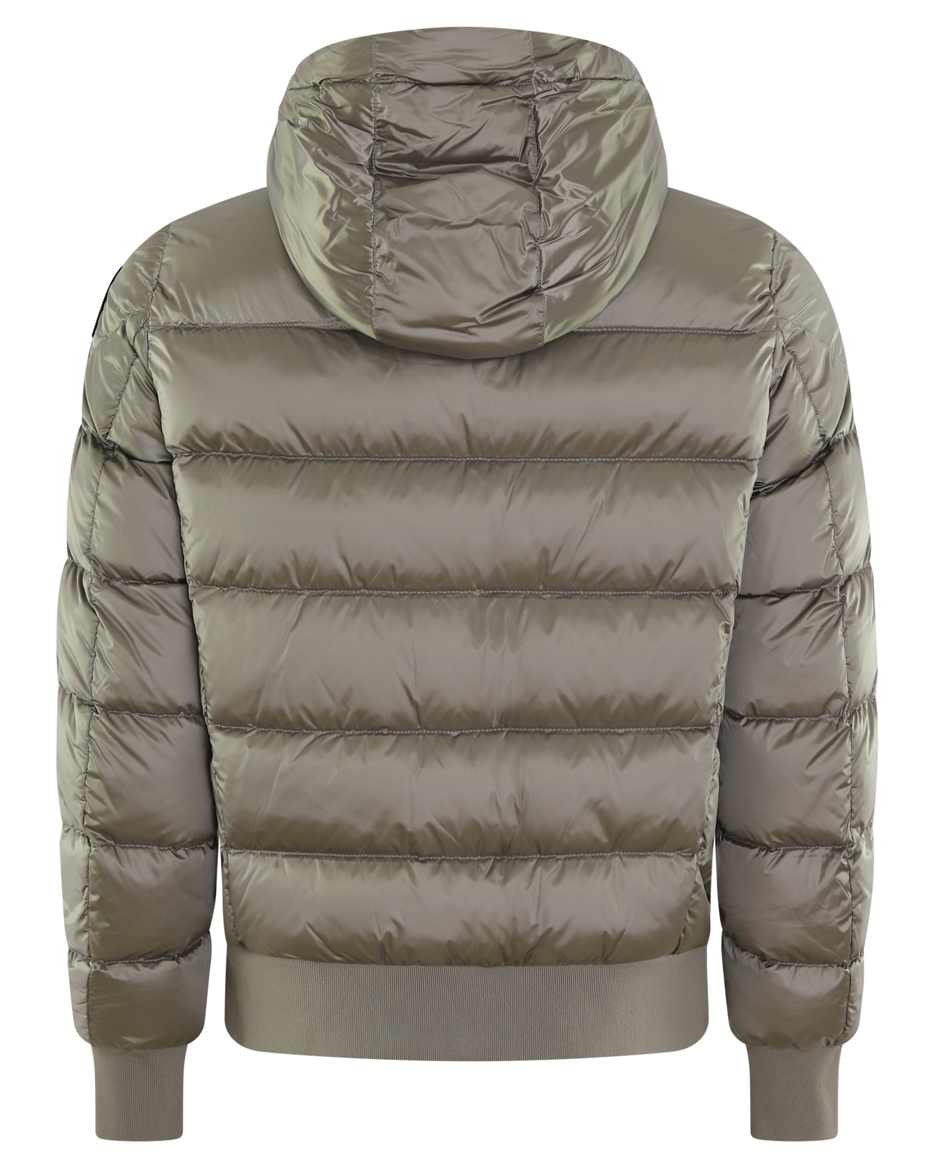 Heren Pharrell Down Bomber Groen