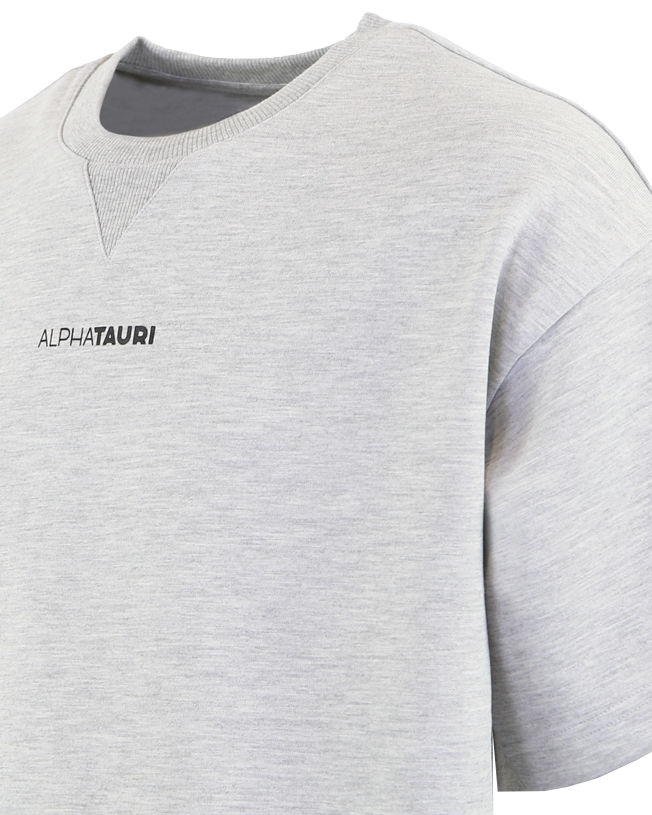 Men JAHEV T-shirt Gray