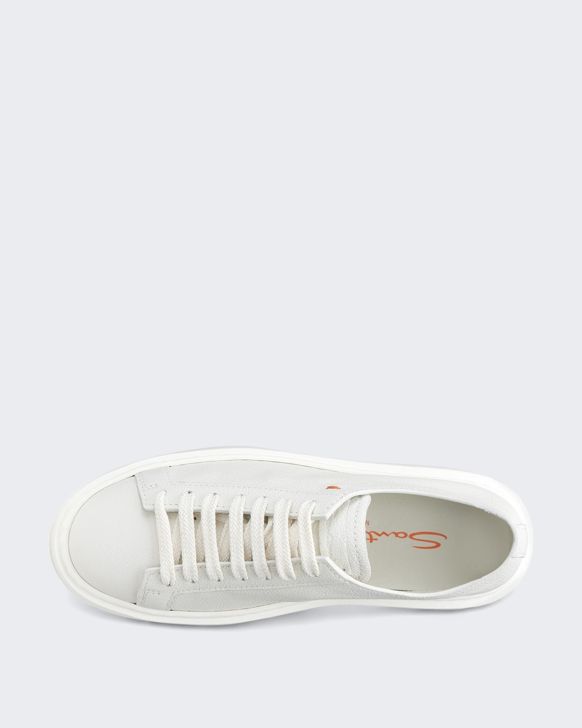 Women's Clean Sneaker White