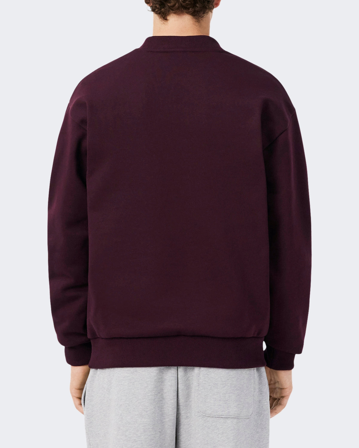 Lacoste Heren Sweater Oxalis - foto 5