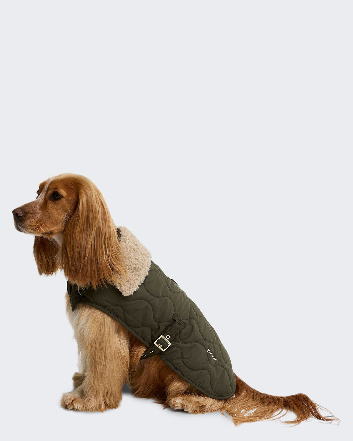 Unisex Beth Quilted Dog Coat Groen