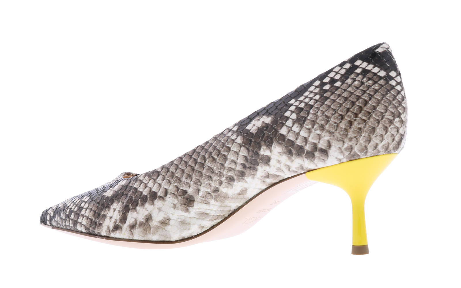 Women Python Bicolor