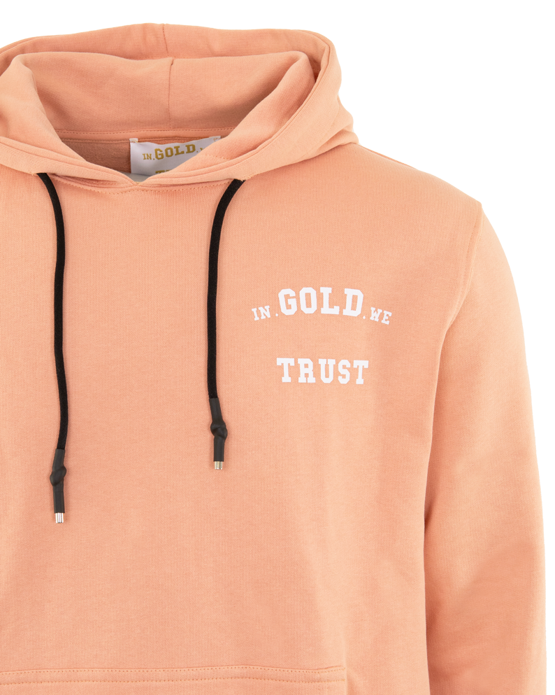 In gold we trust online zipper hoodie