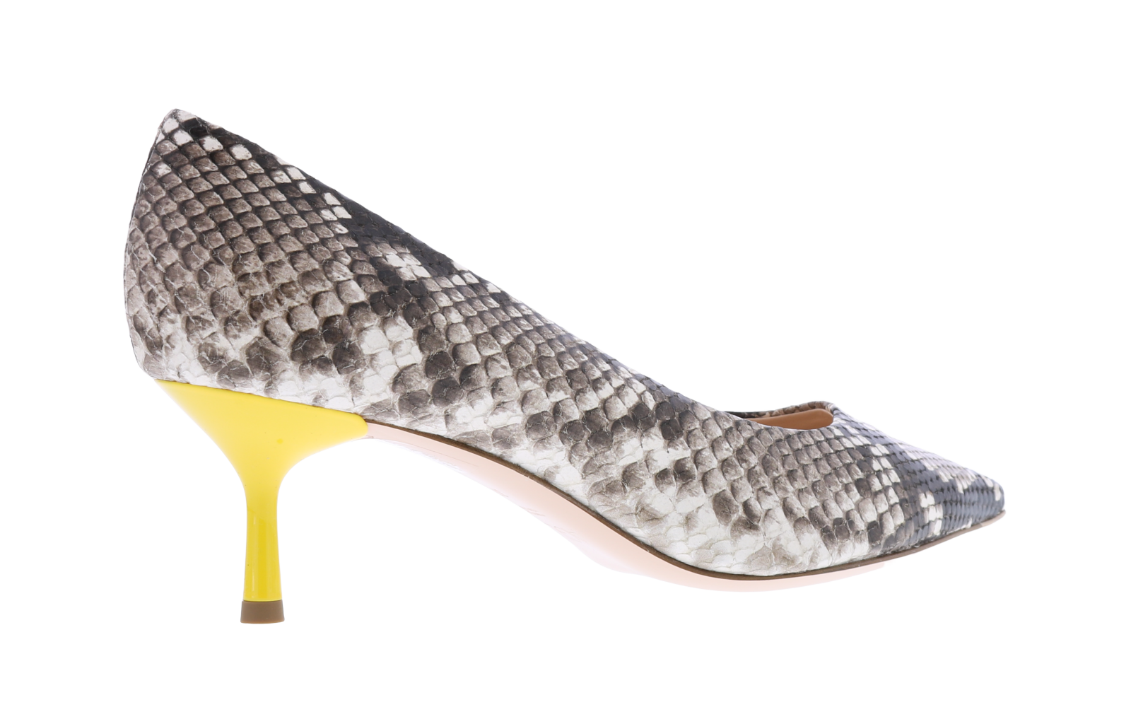 Women Python Bicolor