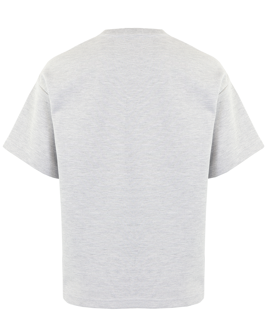 Men JAHEV T-shirt Gray