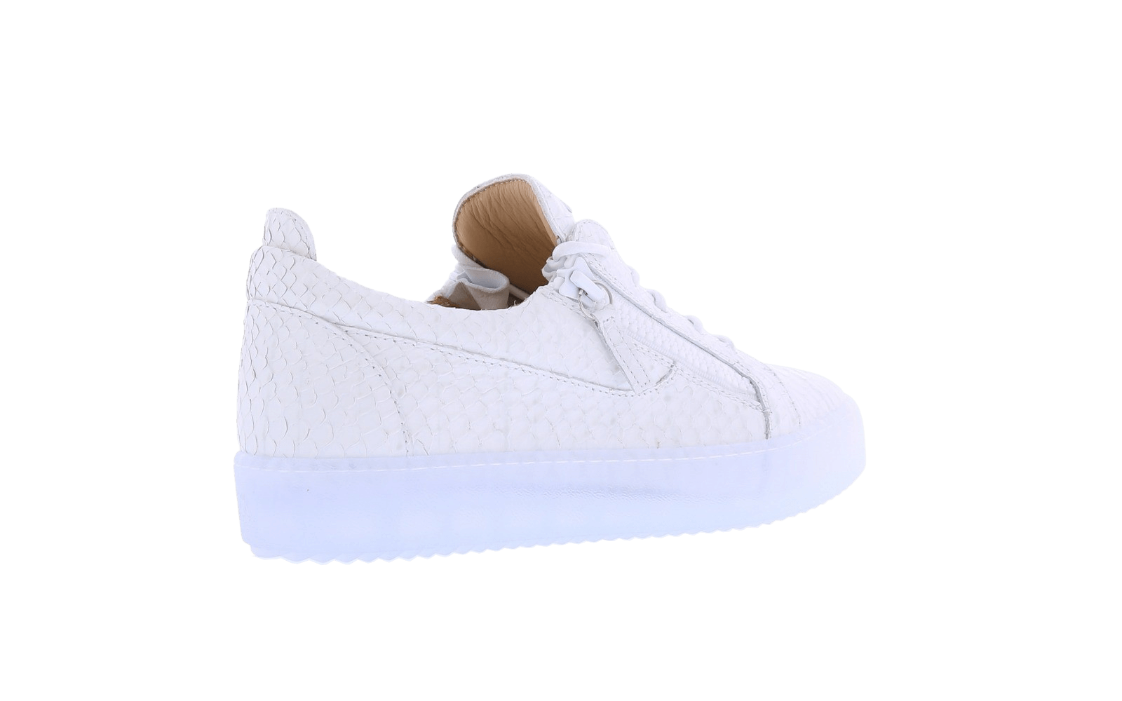 Men Giuseppe Zanotti Rigolia